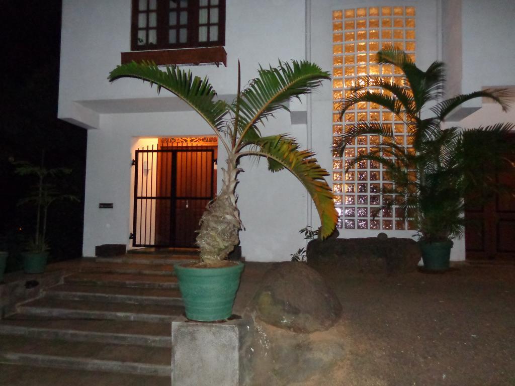 Banda Casa, קנדי מראה חיצוני תמונה